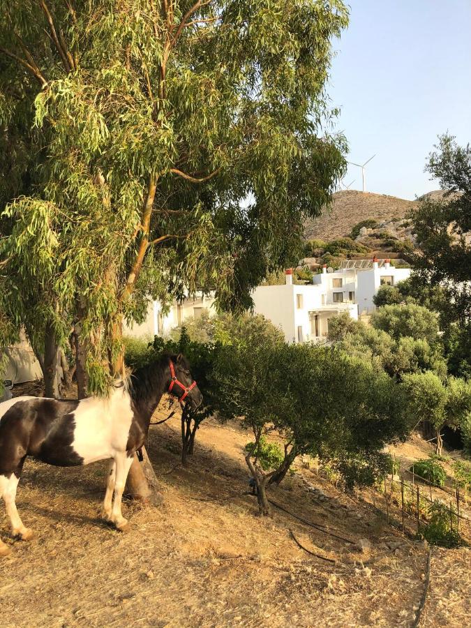 Mourtzanakis Residence - Traditional Eco Hotel In Akhládha 외부 사진